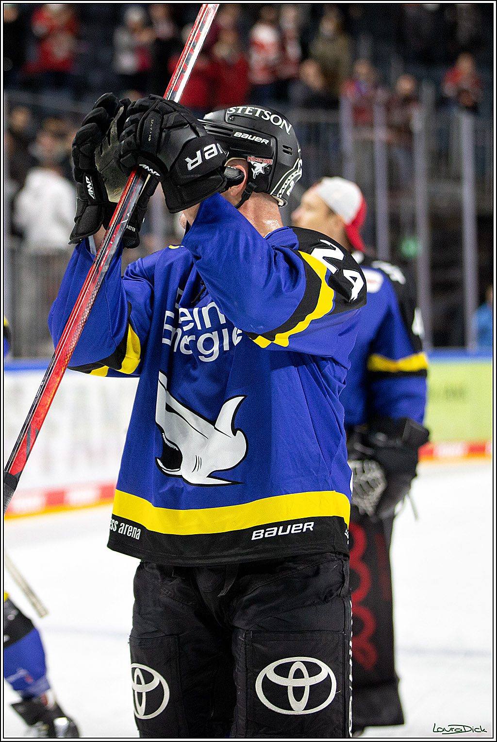 PENNY DEL; Koelner Haie- Fishtown Pinguins Bremerhaven; Koeln, 23.11.2021